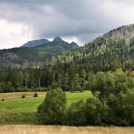 Tatra Rest